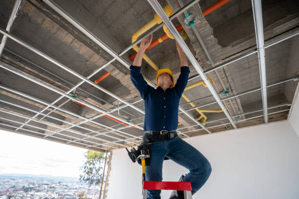 Best Local Plumber Services  in Hudson Lake, IN