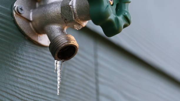 Best Drain Cleaning Services  in Hudson Lake, IN